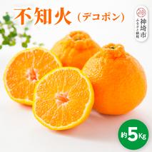 【2026年1月中旬より発送開始】不知火(デコポン) 約5kg【みかん 柑橘 清美 ポンカン フルーツ デザート】(H116137)