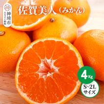 【2025年10月上旬より発送開始】佐賀美人(みかん) 4kg S～2Lサイズ【みかん ブランドみかん 柑橘 酸味 フルーツ デザート】(H116142)
