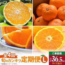 AB61-T11_【定期便4回】 旬 カンキツ 定期便 L 訳あり 家庭用 青切り有田みかん 完熟有田みかん 清見オレンジ カラマンダリン みかん オレンジ 新鮮 甘酸っぱい 甘み 酸味 バランス 濃厚 ノーワックス お取り寄せ お取り寄せフルーツ 和歌山県 湯浅町 送料無料 