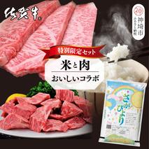 【3回定期便】特別限定セット さがびよりと佐賀牛 おいしいコラボ【米 ブランド米 肉 牛肉 ブランド牛 ヒレ サーロイン ステーキ肉】(H996P109)