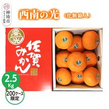 【2025年12月上旬より発送開始】西南の光 2.5kg(化粧箱入り)【みかん 柑橘 フルーツ デザート βクリプトキサンチン 手土産】(H116150)