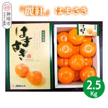【2026年2月上旬より発送開始】【麗紅】はまさき 2.5kg【みかん 一級品 柑橘 フルーツ デザート】(H116144)