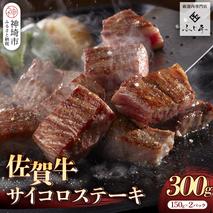 【厳選肉専門店 ふじ匠】佐賀牛サイコロステーキ【肉 牛肉 ブランド牛 黒毛和牛 サーロイン ふるさと納税】(H114101)