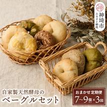 【定期便3回】自家製天然酵母のベーグルセット【パンと器のコネル】 【パンと器のコネル もっちりベーグル 国産小麦 パン 自家製 天然酵母 玄米麹 朝食 おやつ】(H094118)