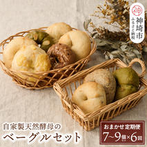 【定期便6回】自家製天然酵母のベーグルセット【パンと器のコネル】 【パンと器のコネル もっちりベーグル 国産小麦 パン 自家製 天然酵母 玄米麹 朝食 おやつ】(H094121)