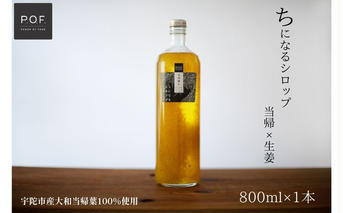 ちになるシロップ 大和当帰×生姜 800ml 1本／POWER OF FOOD ふるさと納税 生姜 シロップ 瓶 ガラス瓶 国産 食材 炭酸 大和当帰葉 有機 お湯割り 甜菜糖 ハチミツ はちみつ 送料無料 ち 奈良県 宇陀市