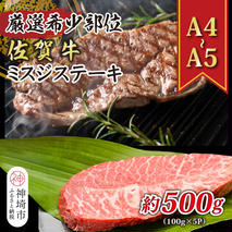 【厳選希少部位】【A4～A5】佐賀牛ミスジステーキ 約500g(100g×5P)【肉 牛肉 ブランド牛 黒毛和牛 ステーキ肉 ふるさと納税】(H112120)