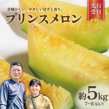 プリンスメロン ( 7～8玉 入り) 1箱 約 5kg フルーツ 果物 くだもの お取り寄せ 茨城県産 産直 直送 【 先行予約 2026年5月下旬以降発送 】【 令和8年産 】【 農家直送 】【 昭和の大衆メロン 】 [AX020ya]
