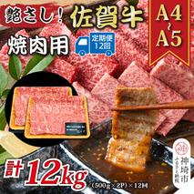 【12か月定期便】艶さし！【A4～A5】佐賀牛焼肉用 1kg(500g×2P)×12回【肉 牛肉 ブランド牛 黒毛和牛 ふるさと納税】(H112171)