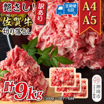 【6か月定期便】艶さし！訳あり！【A4～A5】佐賀牛切り落とし 1.5kg(500g×3P)×6回【肉 牛肉 ブランド牛 黒毛和牛 ふるさと納税】(H112188)