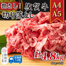 【12か月定期便】艶さし！【A4～A5】佐賀牛切り落とし 400g×12回【肉 牛肉 ブランド牛 黒毛和牛 ふるさと納税】(H112174)