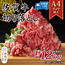 【12か月定期便】艶さし！【A4～A5】佐賀牛切り落とし 1kg(500g×2P)×12回【肉 牛肉 ブランド牛 黒毛和牛 ふるさと納税】(H112180)