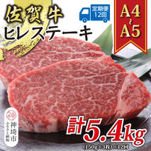 【12か月定期便】【A4～A5】佐賀牛ヒレステーキ 450g(150g×3枚)×12回【肉 牛肉 ブランド牛 黒毛和牛 ステーキ肉 ふるさと納税】(H112213)