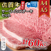 【12か月定期便】訳あり！【A4～A5】佐賀牛サーロインステーキセット 5kg(250g2枚入り×10P)×12回【肉 牛肉 ブランド牛 黒毛和牛 ふるさと納税】(H112222)