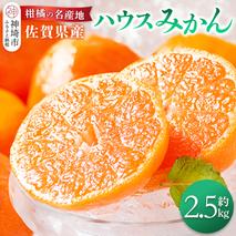 佐賀県産『ハウスみかん』約2500g【果物 フルーツ みかん 柑橘 ビタミン デザート ふるさと納税】(H108115)