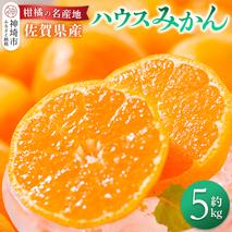 佐賀県産『ハウスみかん』約5000g【果物 フルーツ みかん 柑橘 ビタミン デザート ふるさと納税】(H108116)