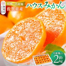 佐賀県産『ハウスみかん』約2000g【化粧箱入り】【果物 フルーツ みかん 柑橘 ビタミン デザート 贈答 ふるさと納税】(H108117)