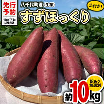 【 2025年10月下旬以降発送 】 訳あり 茨城 八千代町産 さつまいも すずほっくり 土付き 無選別 生芋 約 10kg 農家直送 熟成 イモ 芋 いも おやつ デザート 秋 [AX036ya]