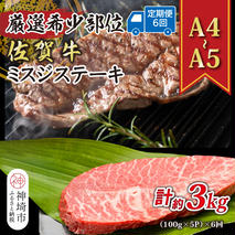 【6か月定期便】【厳選希少部位】【A4～A5】佐賀牛ミスジステーキ 約500g(100g×5P)×6回【肉 牛肉 ブランド牛 黒毛和牛 ステーキ肉 ふるさと納税】(H112263)