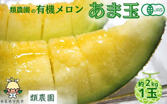 【予約:7月下旬〜8月上旬出荷】有機メロン「甘玉」1玉 ／メロン 有機 甘玉 贈答 ギフト お盆 お供え デザート おいしい 奈良県 宇陀市 類農園 ふるさと納税