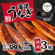 【お歳暮】【化粧箱】【 訳アリ 】 国産うなぎ 蒲焼き 3尾 セット ( 380g ) 大きさ の不揃い 山椒付き ウナギ 鰻 ふぞろい 不揃い うな重 ひつまぶし 人気 茨城 八千代町 ふるさと納税 冷凍 ギフト 化粧箱 お歳暮 歳暮 熨斗