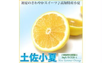 ご家庭用 土佐小夏 5kg 5キロ サイズ2S～L こなつ コナツ 柑橘 かんきつ 柑橘類 フルーツ 果物 くだもの デザート おやつ ジュース ジャム 美味しい ご自宅用