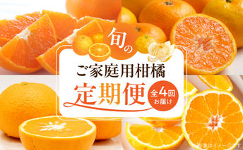 G60-T98_【発送月固定定期便】紀州和歌山産旬のご家庭用柑橘セット(みかん・不知火・せとか・清見)全4回