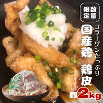 【 数量限定 】 コラーゲン たっぷり 国産鶏 鶏皮 約 2kg フードロス対策 SDGs とり皮 鳥皮 肉 冷凍 [AU070ya]