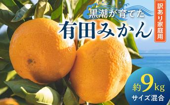 AE6111_黒潮が育てた有田みかん約9kg（サイズ混合）(訳あり　家庭用）