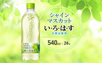 水 いろはす シャインマスカット 天然水 540ml(500ml + 40ml)PET【コカ・コーラ】ペットボトル 1箱(24本)ブドウ ナチュラルミネラルウォーター フレーバードリンク カロリー控えめ 飲料水 飲料 常温 備蓄 ストック ローリングストック アウトドア キャンプ 人気 おすすめ ギフト 国産 九州 宮崎県 えびの市 送料無料