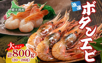 北海道 噴火湾産 冷凍ボタンエビ 大サイズ 計800g 20～28尾 ボタンエビ エビ えび 海老 北海道産 旬 ぼたんえび 刺身 牡丹海老 海鮮 魚介 甲殻類 味噌汁 鍋 海鮮丼 冷凍 洞爺湖町