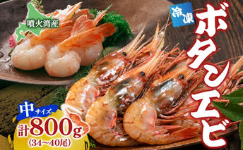 北海道 噴火湾産 冷凍ボタンエビ 中サイズ 計800g 34～40尾 ボタンエビ エビ えび 海老 北海道産 旬 ぼたんえび 刺身 牡丹海老 海鮮 魚介 甲殻類 味噌汁 鍋 海鮮丼 冷凍 洞爺湖町