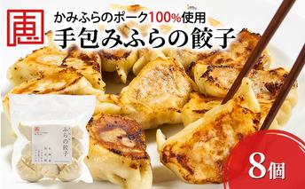 【かみふらのポーク 使用】 手包み ふらの餃子 8個入 小分け ジャンボ サイズ 中華 冷凍 即席 食品 簡単 加工品 調理不要 おかず 手作り ふらの 北海道 上富良野町 北の恵