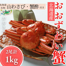 24-102 【北海道産】オオズワイガニ姿　2尾計1.0kg ｜ 蟹酢・山わさび付　かに　おおずわいがに