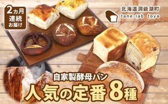 自家製酵母パン 人気の定番セット Mサイズ 2ヵ月連続お届け