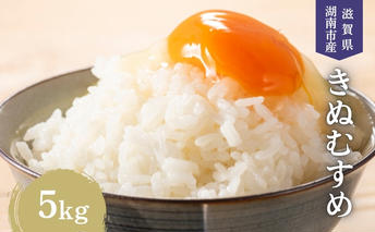 【先行予約受付中】令和7年産 滋賀県産 米 きぬむすめ 5kg