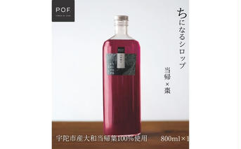 ちになるシロップ＜大和当帰×棗＞800ml 1本／ ふるさと納税 棗 シロップ 瓶 ガラス瓶 国産 食材 炭酸 大和当帰葉 有機 お湯割り 甜菜糖 ハチミツ はちみつ 送料無料 ち 奈良県 宇陀市 POWER OF FOOD