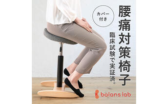 バランス シナジー(カバー付き) 椅子 腰痛 対策 イス カバー バランスラボ 岐阜県 美濃市　シックブラウン/スクエアシート/ベージュ