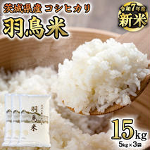 《 令和7年産 先行予約 》 コシヒカリ 「幻の米 羽鳥米」 15kg (5kg × 3袋) 筑波北麓秘蔵米 お米 ごはん 精米 コメ 白米 国産 茨城県 桜川市 限定 期間限定 数量限定 銘柄米 [AX001sa]