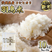 《 令和7年産 先行予約 》 コシヒカリ 「幻の米 羽鳥米」 10kg (5kg × 2袋) 筑波北麓秘蔵米 お米 ごはん 精米 コメ 白米 国産 茨城県 桜川市 限定 期間限定 数量限定 銘柄米 [AX003sa]