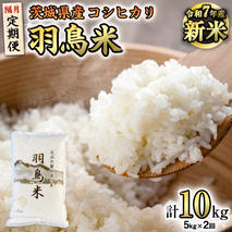 《全2回 隔月定期便》《 令和7年産 先行予約 》 コシヒカリ 「幻の米 羽鳥米」 計 10kg (5kg × 2回) 筑波北麓秘蔵米 お米 ごはん 精米 コメ 白米 国産 茨城県 桜川市 限定 期間限定 数量限定 銘柄米 [AX004sa]