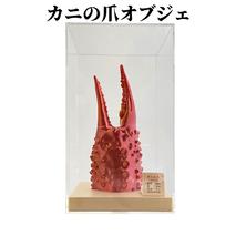 34-23 カニの爪オブジェ（大型）ケース付き