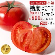《 2026年収穫分 先行予約 》《 3回 定期便 》 糖度9度以上 スーパーフルーツトマト 小箱 約800g × 1箱 × 3回 フルーツトマト ブランドトマト 野菜 ギフト 贈答 [BC050sa]
