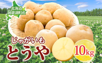 とうや 10kg 2025年9月上旬～12月中旬までお届け ジャガイモ 芋 甘い ホクホク なめらか ポテト カレー 調理 料理 煮込み料理 旬 野菜 お取り寄せ 北海道 洞爺湖町