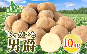 男爵 10kg 2025年9月上旬～12月中旬までお届け ダンシャク コロッケ ジャガイモ 芋 甘い ホクホク ポテト カレー 調理 料理 煮込み料理 旬 野菜 お取り寄せ 北海道 洞爺湖町