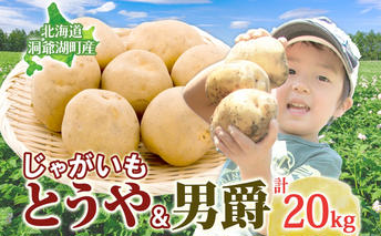 じゃがいも2種セット 計20kg とうや 男爵 2025年9月上旬～12月中旬までお届け ジャガイモ 芋 甘い ホクホク ポテト カレー 調理 料理 煮込み料理 旬 野菜 お取り寄せ 北海道 洞爺湖町