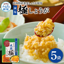 減塩味付け極しょうが110g×5袋 - 減塩 しょうが ショウガ 生姜 生ふりかけ 坂田信夫商店 黄金しょうが 高知 国産 料理 おかず 調味料 ご飯のお供 混ぜご飯 刻み生姜 健康 話題