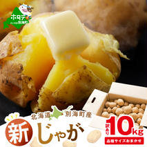 2025年10～12月発送 北海道別海町産 じゃがいも10kg (１種おまかせ) 【JV0000001】 (きたあかり、ワセシロ、男爵、メークイーン、レッドムーン）