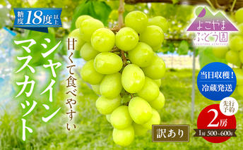 先行予約 [訳あり] 甘く食べやすい シャインマスカット 2房（1房 500～600g）＜出荷時期：2025年9月下旬～10月上旬ごろ＞数量限定 期間限定 果物 フルーツ ぶどう ブドウ マスカット