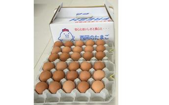【高級赤玉・安全飼料使用】湖南市産もみじ卵30個　頒布コース(6か月） 